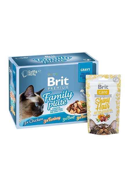 Zestaw Brit Premium Cat Pouches Mix w sosie 12x85g + Snack Shiny Łosoś 50g Zestaw pełnoporcjowej karmy mokrej w sosie oraz przysmaku dla kotów