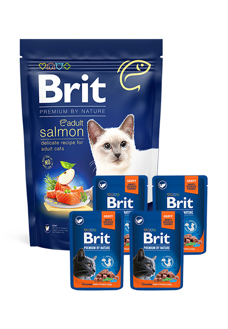 Zestaw Brit Premium Cat łosoś 1,5kg + 4x100g Brit Premium Cat Pouches łosoś Zestaw pełnoporcjowej karmy suchej i mokrej dla kotów dorosłych