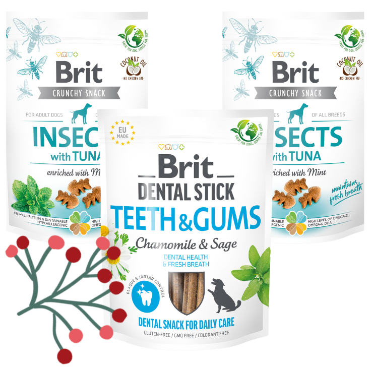 Gwiazdkowy Zestaw Brit Dental Snacks MIX (3 opakowania) Karma uzupełniająca dla dorosłych psów w ekonomicznym pakiecie