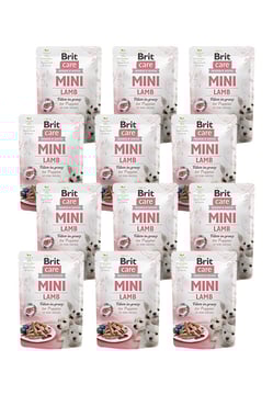 Zestaw 12 x Brit Care Mini Pouch Puppy, jagnięcina, 85 g Pełnoporcjowa karma mokra dla szczeniąt ras małych i miniaturowych w ekonomicznym zestawie Zestaw 12 x Brit Care Mini Pouch Puppy, jagnięcina, 85 g Pełnoporcjowa karma mokra dla szczeniąt ras małych i miniaturowych w ekonomicznym zestawie
