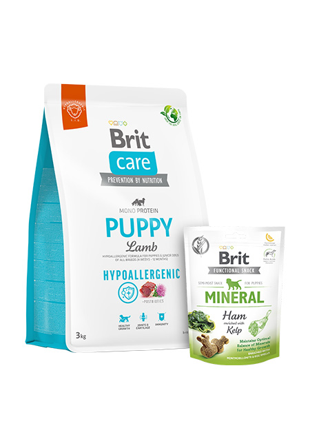 Zestaw Brit Care Puppy Jagnięcina i Ryż 3kg + Snack Mineral 150g Hipoalergiczna karma dla szczeniąt i młodych psów wszystkich ras + Funkcjonalny przysmak dla szczeniąt
