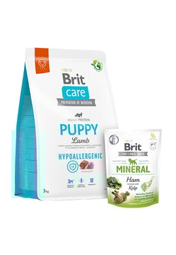 Zestaw Brit Care Puppy Jagnięcina i Ryż 3kg + Snack Mineral 150g Hipoalergiczna karma dla szczeniąt i młodych psów wszystkich ras + Funkcjonalny przysmak dla szczeniąt Zestaw Brit Care Puppy Jagnięcina i Ryż 3kg + Snack Mineral 150g Hipoalergiczna karma dla szczeniąt i młodych psów wszystkich ras + Funkcjonalny przysmak dla szczeniąt
