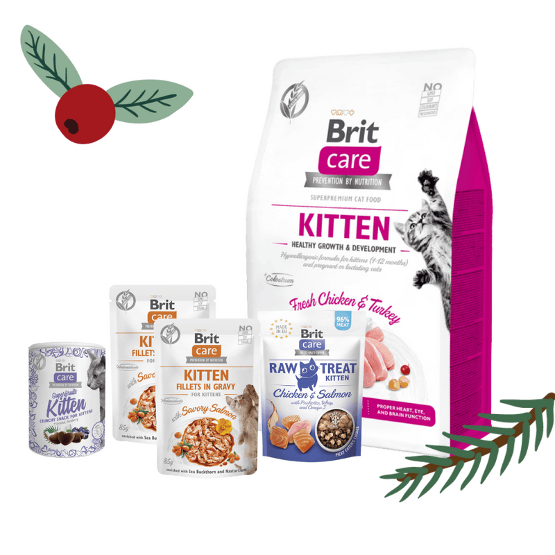 Gwiazdkowy zestaw Brit Care dla kociąt "wzrost i rozwój" Pakiet pełnoporcjowej suchej karmy, mokrej karmy w saszetkach oraz przysmaków na Świąteczne dni
