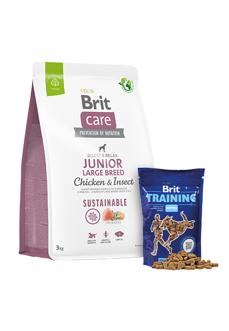 Zestaw Brit Care Junior Large Kurczak & Owady 3kg + Training Snack 200g Pełnoporcjowa karma dla młodych psów dużych ras + przysmaki treningowe dla szeniąt
