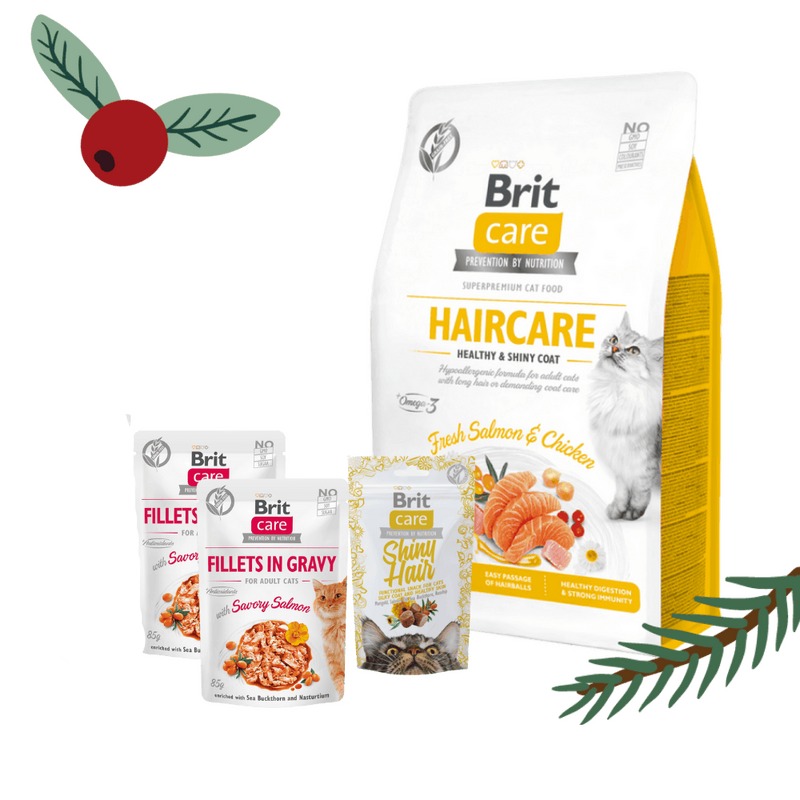 Gwiazdkowy zestaw Brit Care dla kotów "zdrowa i lśniąca sierść" Pakiet pełnoporcjowej suchej karmy, mokrej karmy w saszetkach oraz przysmaku na Świąteczne dni