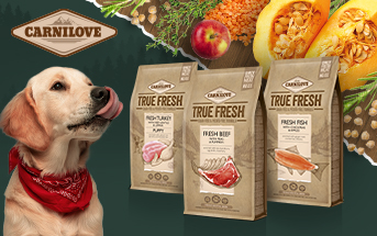 Węglowodany w diecie psa i kota - wrogowie czy przyjaciele?