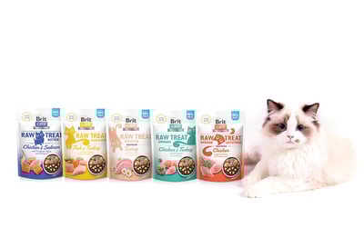 kot leżący obok całej gamy brit care raw treat