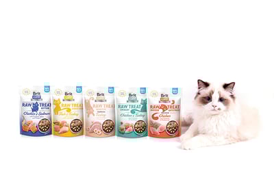 kot leżący obok całej gamy brit care raw treat