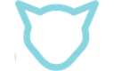 Kot