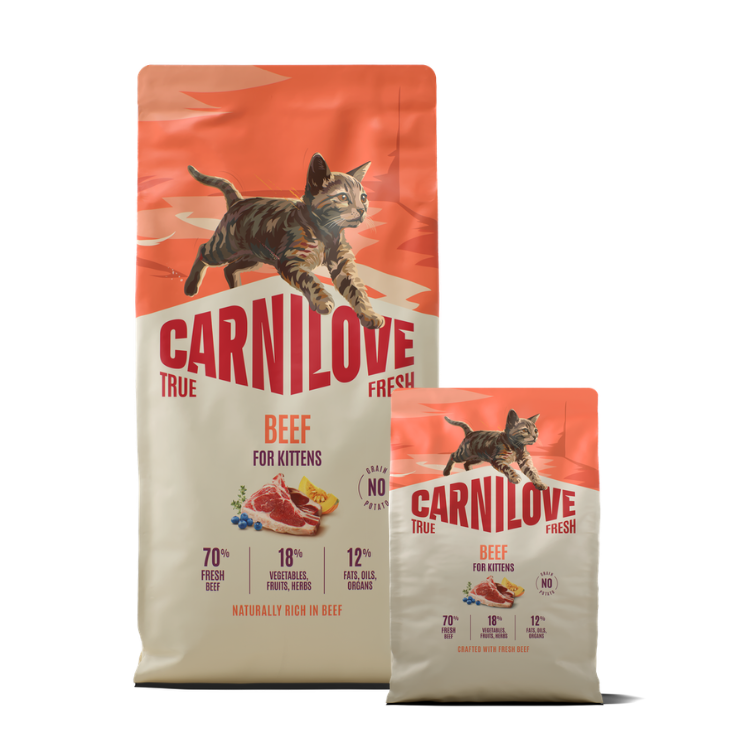 Promocja: 6kg + 2kg CARNILOVE TRUE FRESH Cat Beef for Kittens w atrakcyjnej cenie