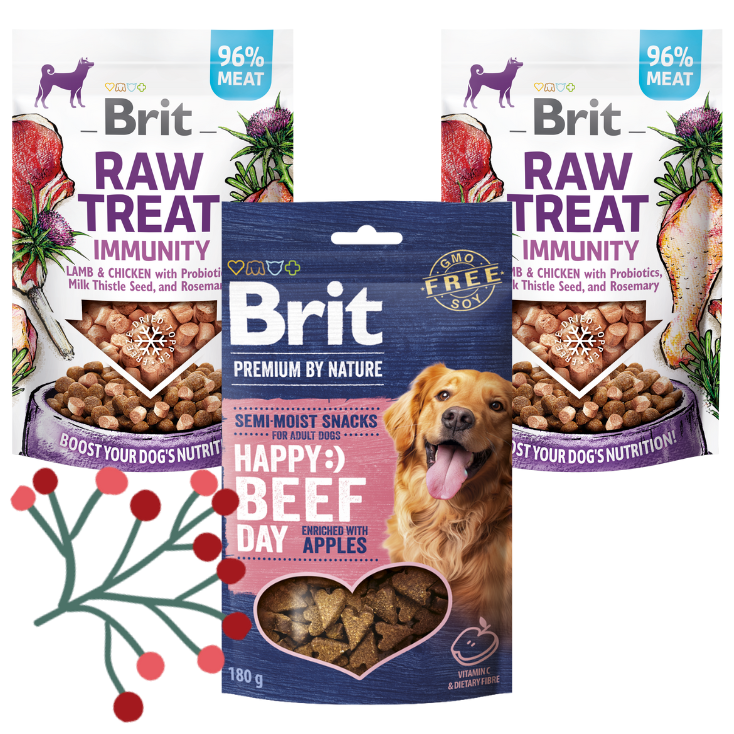 Gwiazdkowy zestaw Brit Snacks Mix (2x40g,1x180g) Karma uzupełniająca dla dorosłych psów w ekonomicznym pakiecie