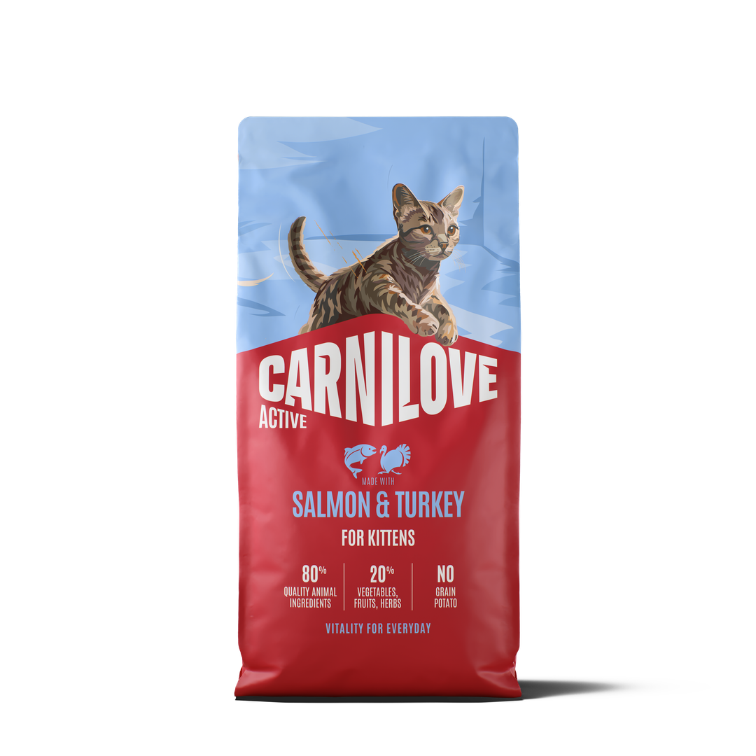 CARNILOVE ACTIVE Cat Dry Made with Salmon & Turkey for Kittens 6kg