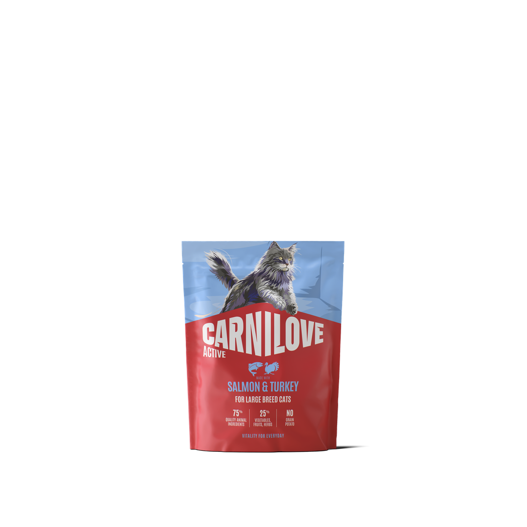 CARNILOVE ACTIVE Cat Dry Made with Salmon & Turkey for Adult Large Breeds 400g