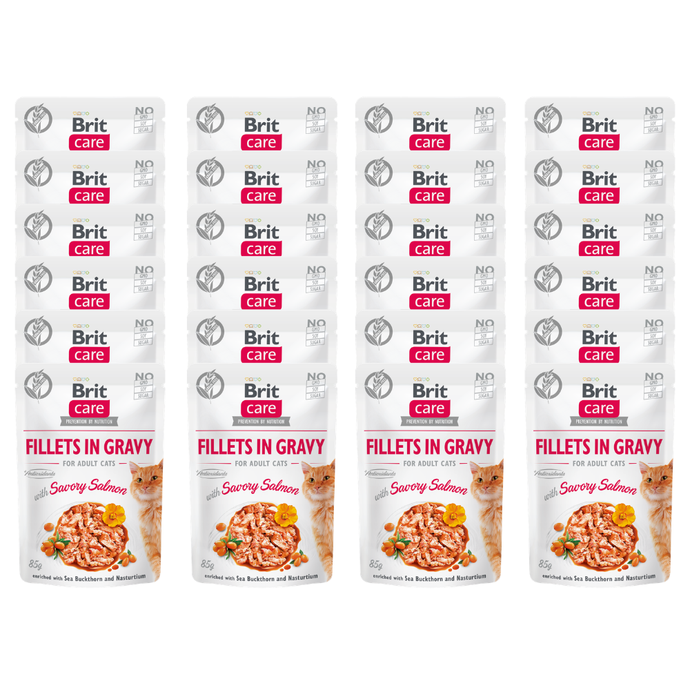 Promocja 20 szt + 4 szt Brit Care Cat Adult Fillets in Gravy with Savory Salmon enriched with Sea Buckthorn & Nasturtium 85g