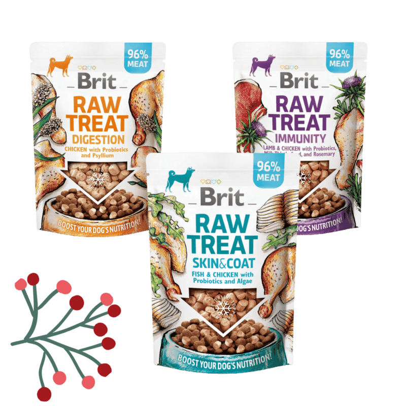 Gwiazdkowy Zestaw Brit Raw Snacks MIX (3x40g) Karma uzupełniająca dla dorosłych psów w ekonomicznym pakiecie