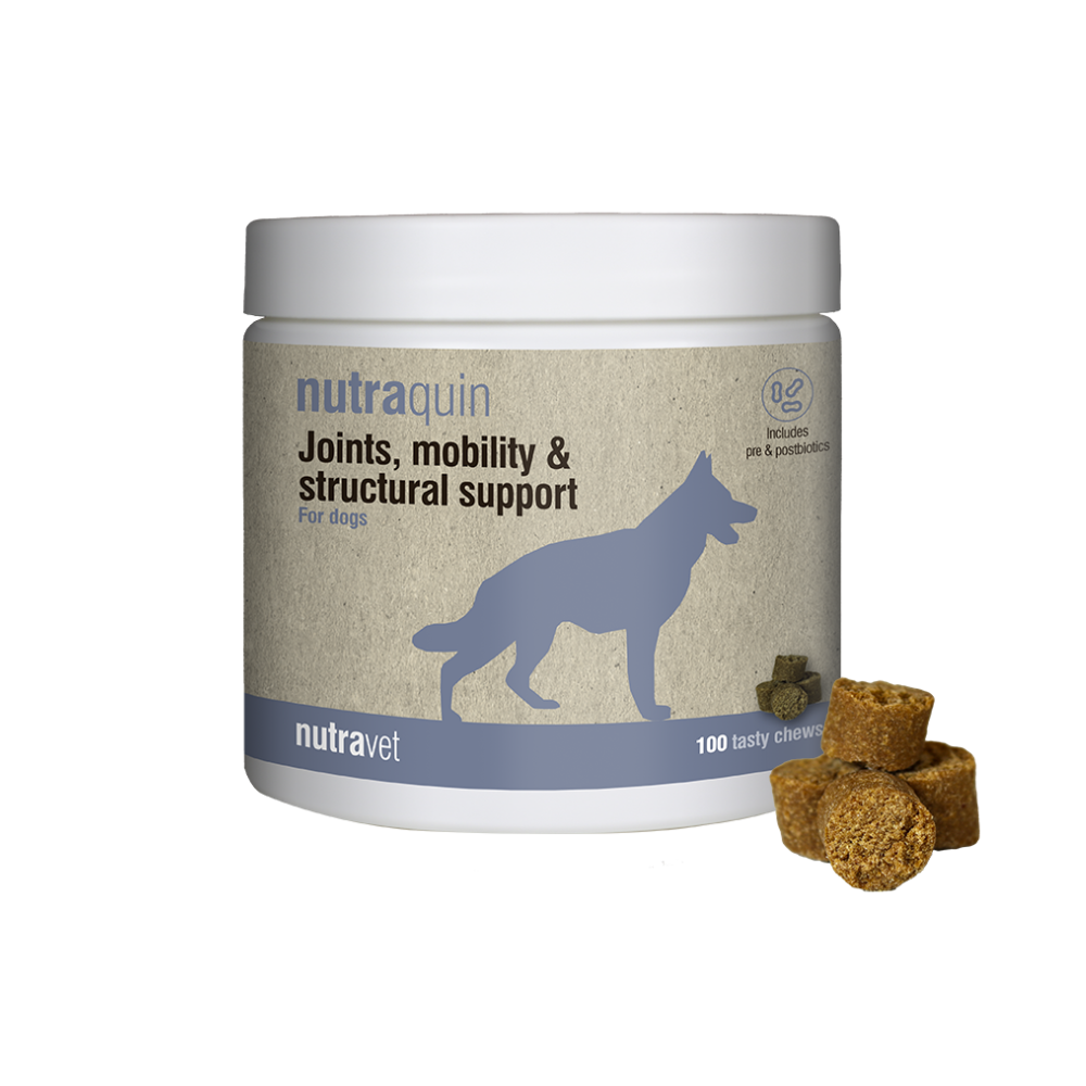 Nutraquin chews 100szt