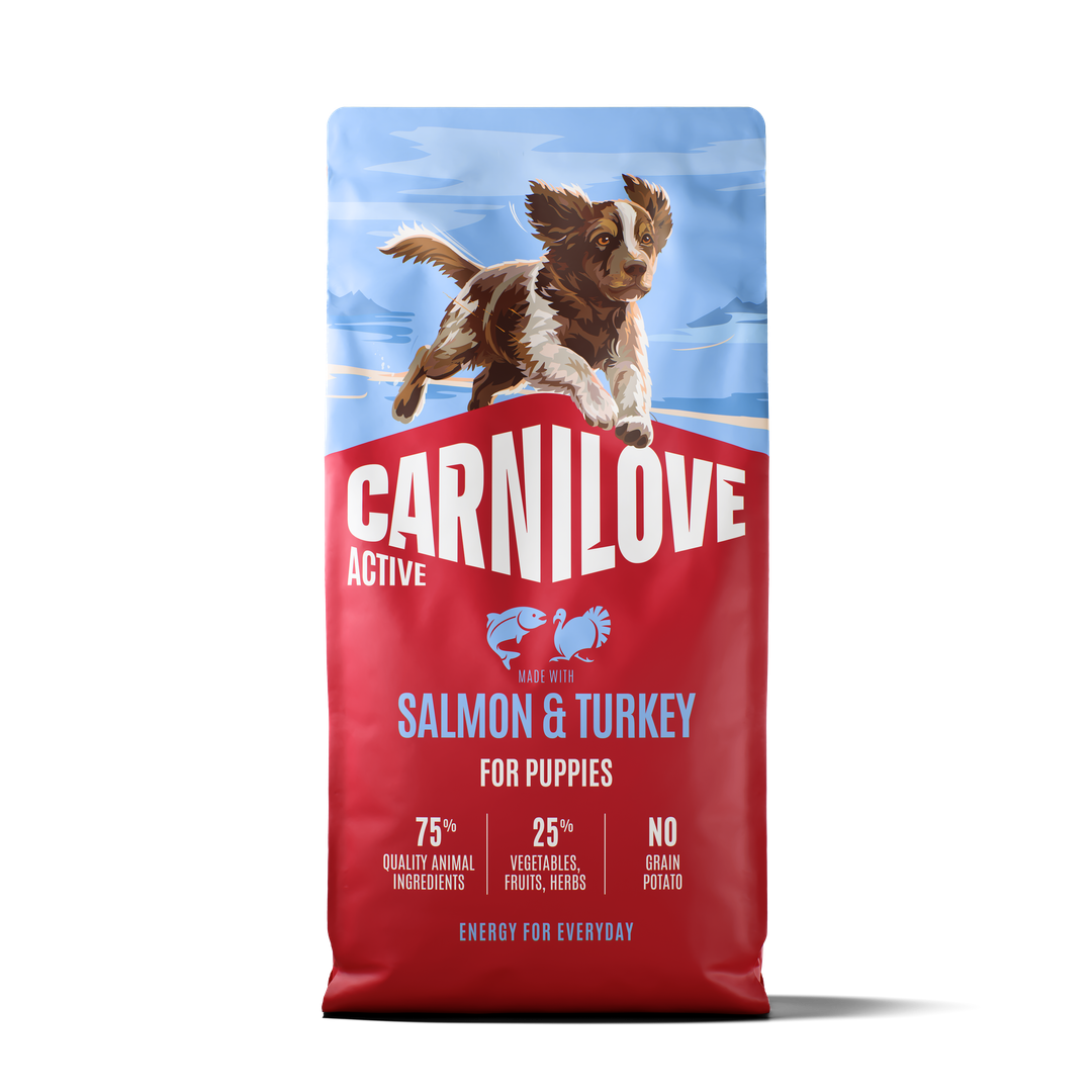 CARNILOVE ACTIVE Dog Dry Made with Salmon & Turkey for Puppies 12kg