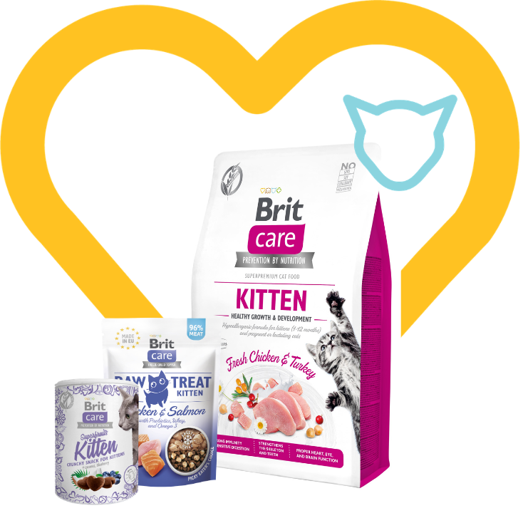 Pakiet dla Kociąt: Brit Care Cat Grain-Free Kitten 2kg + 2 przysmaki w cenie Zestaw z Okazji Dnia Kociecka