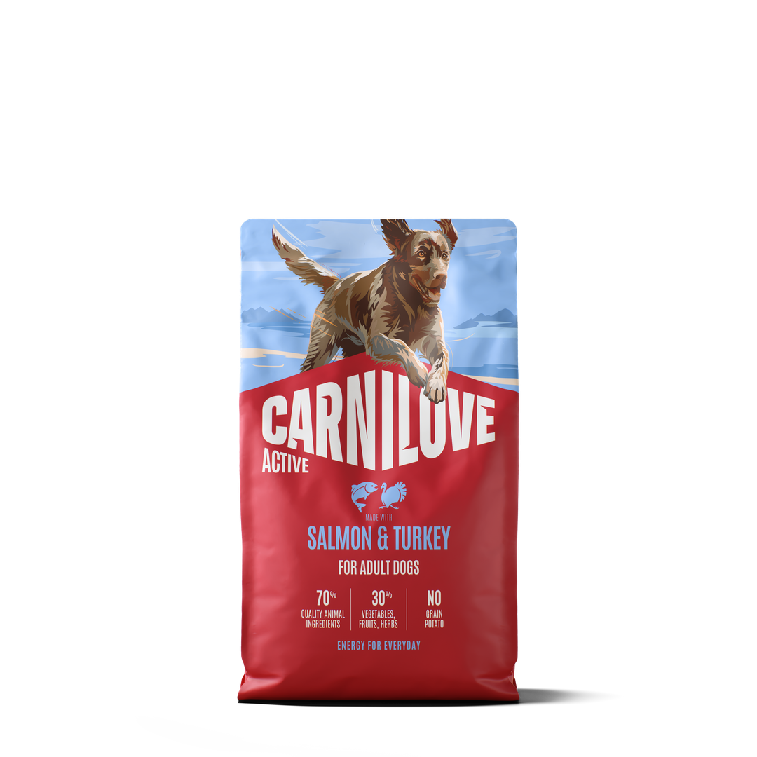 CARNILOVE ACTIVE Dog Dry Made with Salmon & Turkey for Adult All Breeds 4kg