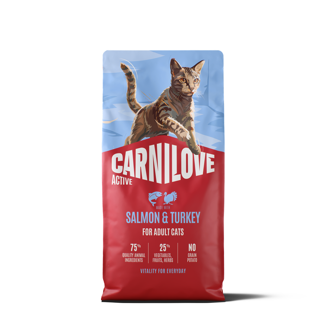 CARNILOVE ACTIVE Cat Dry Made with Salmon & Turkey for Adult All Breeds 6kg
