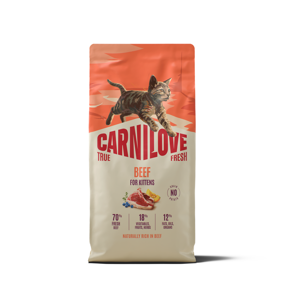 CARNILOVE TRUE FRESH Cat Dry Beef for Kittens 6kg