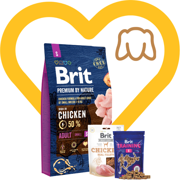 Pakiet Zabawa i Nagrody: Brit Premium by Nature Dog Adult S 8kg + 2 przysmaki w cenie Zestaw z Okazji Dnia Psiecka