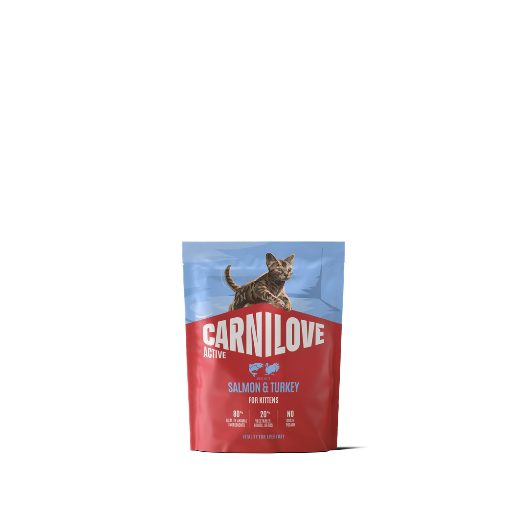 CARNILOVE ACTIVE Cat Dry Made with Salmon & Turkey for Kittens 400g