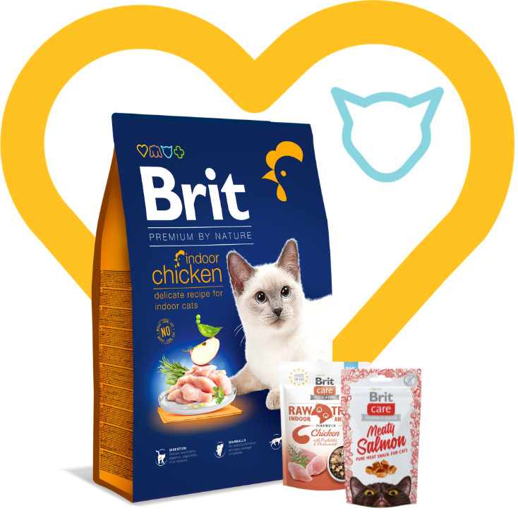 Pakiet Indoor: Brit Premium Cat Adult Indoor Chicken 8kg + 2 przysmaki w cenie Zestaw z Okazji Dnia Kociecka