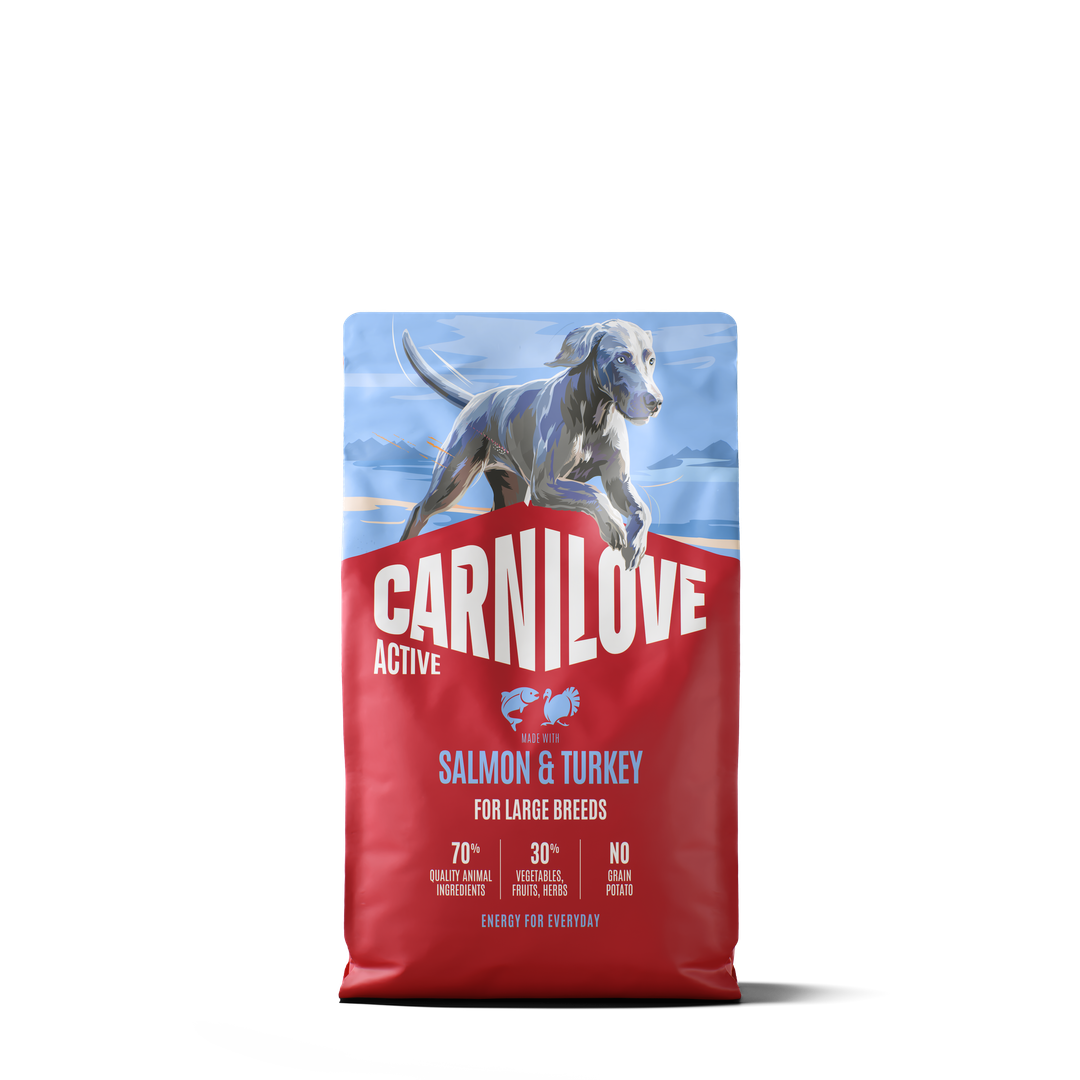CARNILOVE ACTIVE Dog Dry Made with Salmon & Turkey for Adult Large Breeds 4 kg