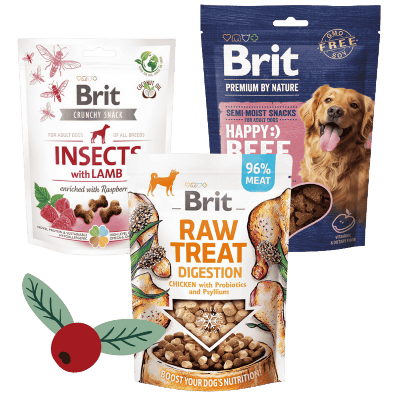 Gwiazdkowy Zestaw Brit Sensible Snacks Mix (3 opakowania) Karma uzupełniająca dla dorosłych psów w ekonomicznym pakiecie