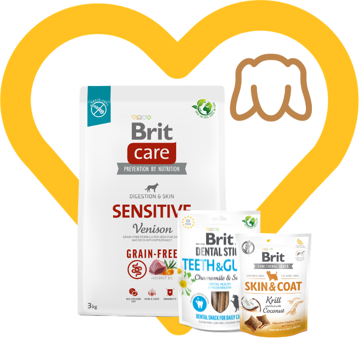 Pakiet Sensitive Care: Brit Care Dog Grain-Free Sensitive Venison 3kg + 2 przysmaki w cenie Zestaw z Okazji Dnia Psiecka