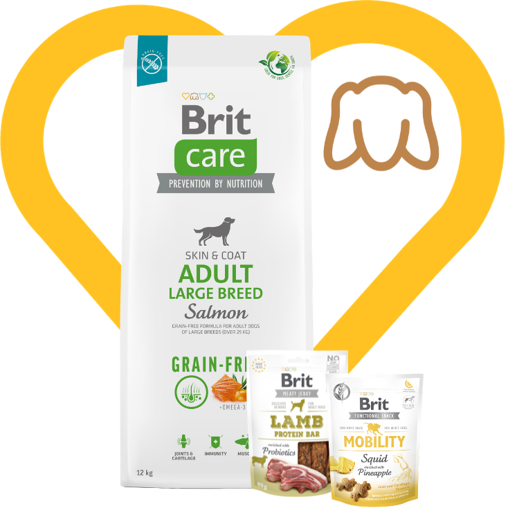 Pakiet dla Aktywnych: Brit Care Dog Grain-Free Adult Large Breed Salmon 12kg + 2 przysmaki w cenie Zestaw z Okazji Dnia Psiecka