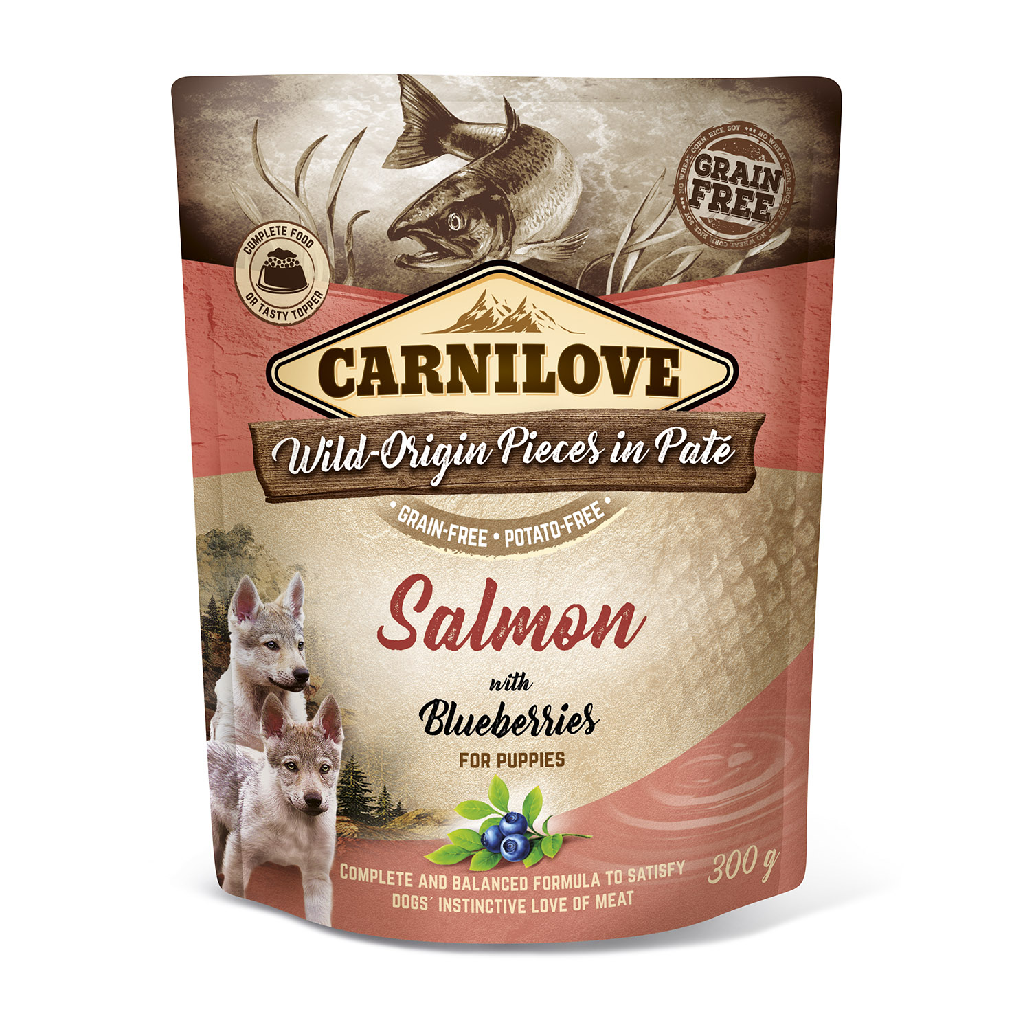 Promocja 10 szt + 2 szt Carnilove Dog Puppy Salmon & Blueberries 300g