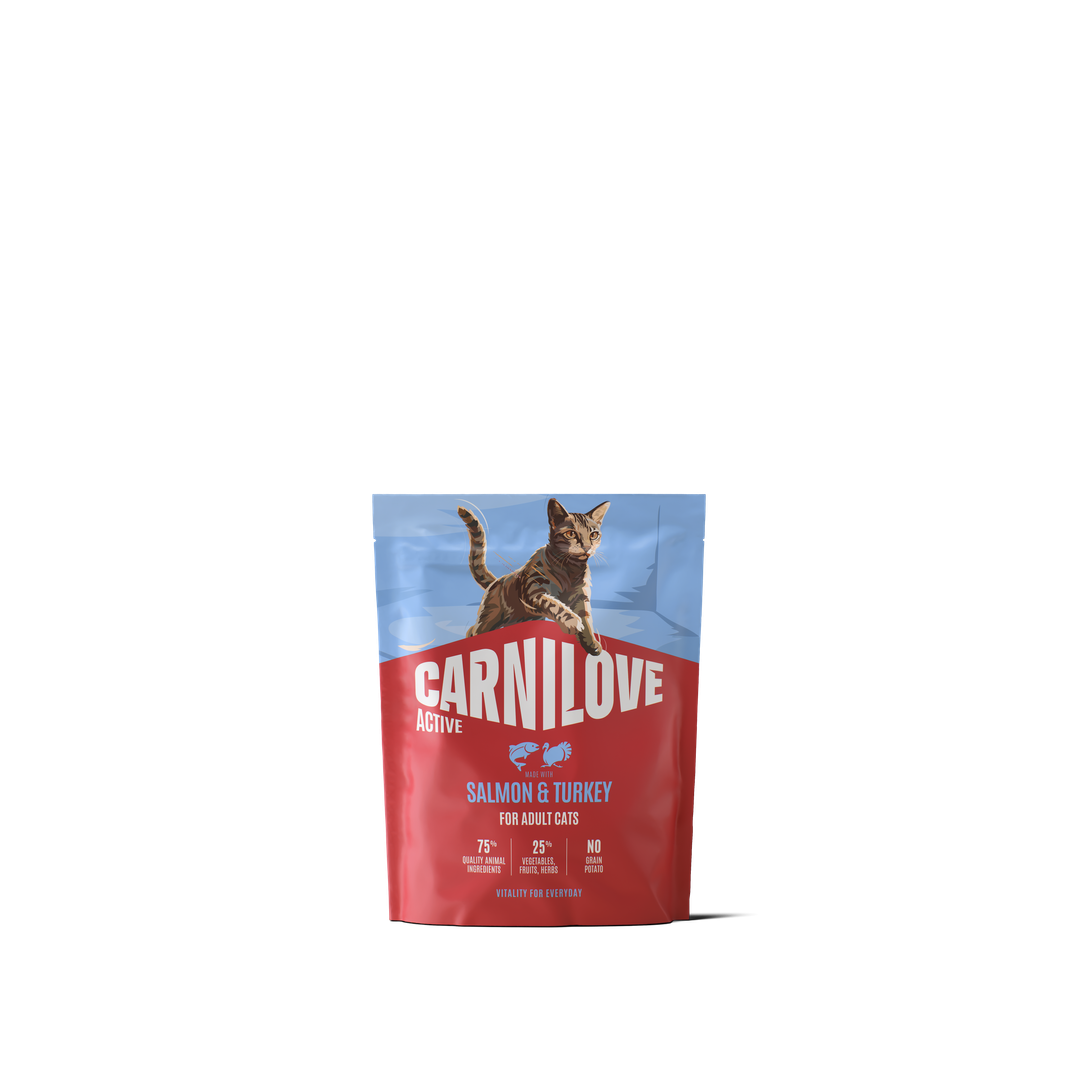 CARNILOVE ACTIVE Cat Dry Made with Salmon & Turkey for Adult All Breeds 400g