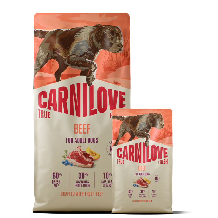 Promocja: 12kg + 4kg CARNILOVE TRUE FRESH Dog Dry Beef for Adult All Breeds w atrakcyjnej cenie