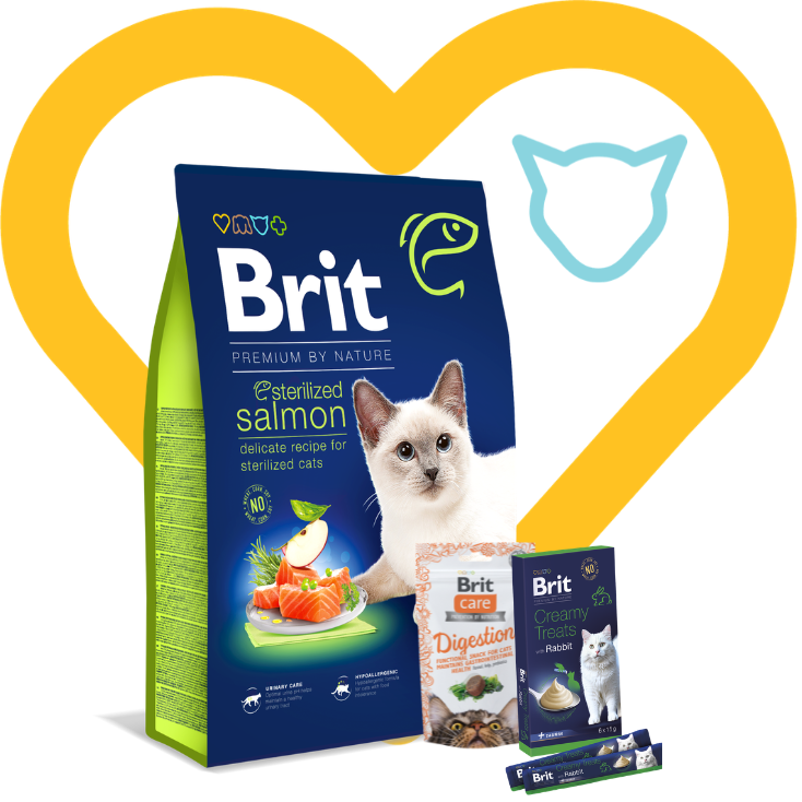 Pakiet Premium Mix: Brit Premium Cat Adult Sterilized Salmon 8kg + 2 przysmaki w cenie Zestaw z Okazji Dnia Kociecka