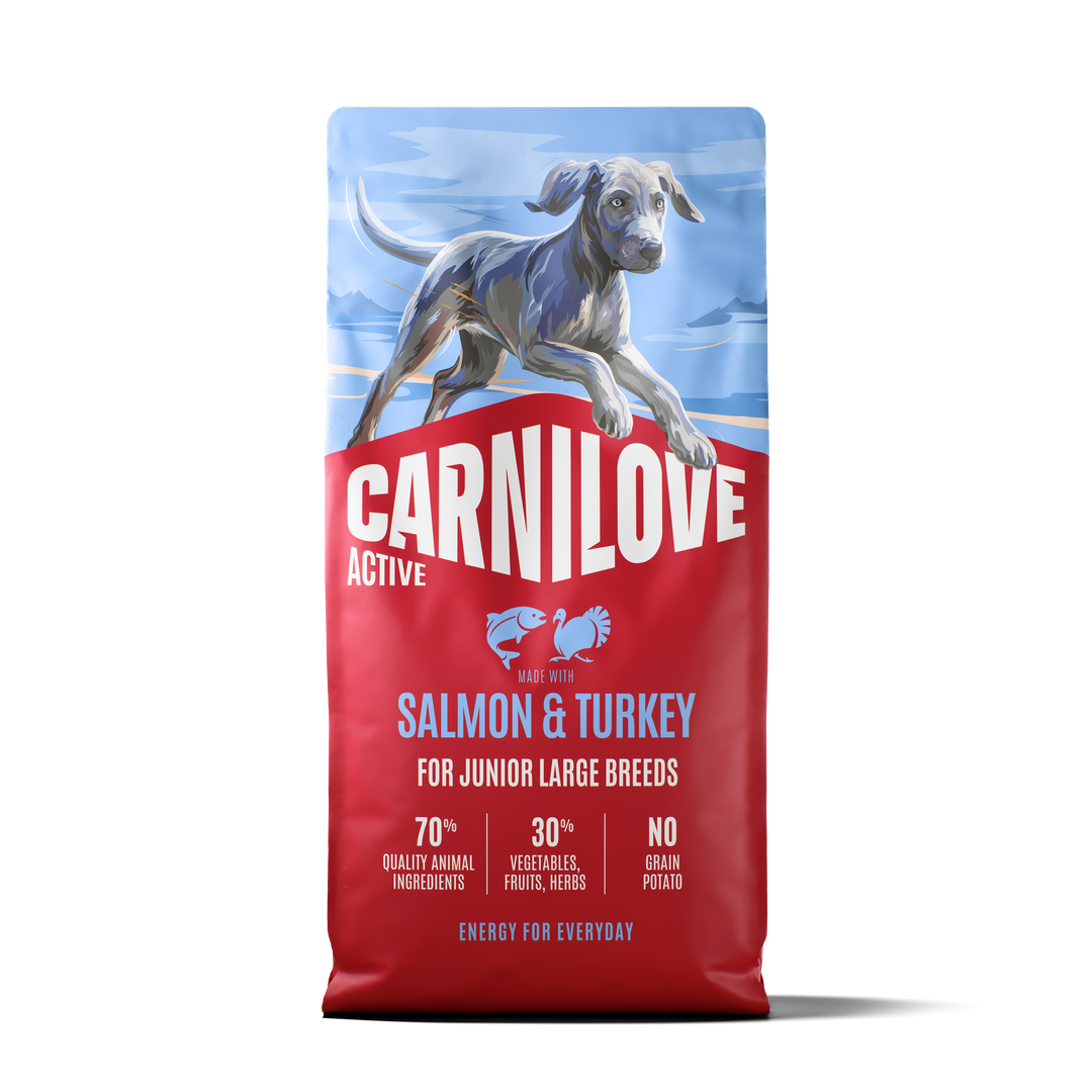CARNILOVE ACTIVE Dog Dry Made with Salmon & Turkey for Junior Large Breeds 12kg