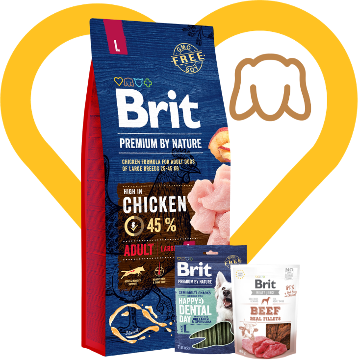 Pakiet Rodzinny Zapas: Brit Premium by Nature Dog Adult L 15kg + 2 przysmaki w cenie Zestaw z Okazji Dnia Psiecka
