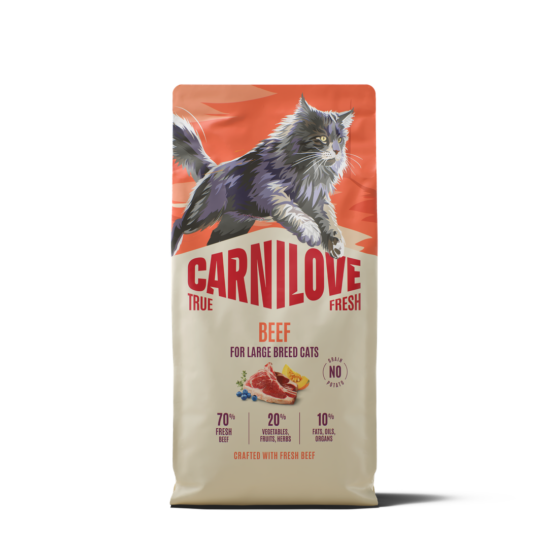 CARNILOVE TRUE FRESH Cat Dry Beef for Adult Large Breeds 6kg
