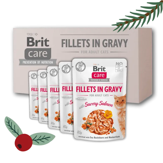 Gwiazdkowy zestaw "18+6" Brit Care Cat Fillets in Gravy, łosoś Pakiet pełnoporcjowej mokrej karmy dla dorosłych kotów w super cenie