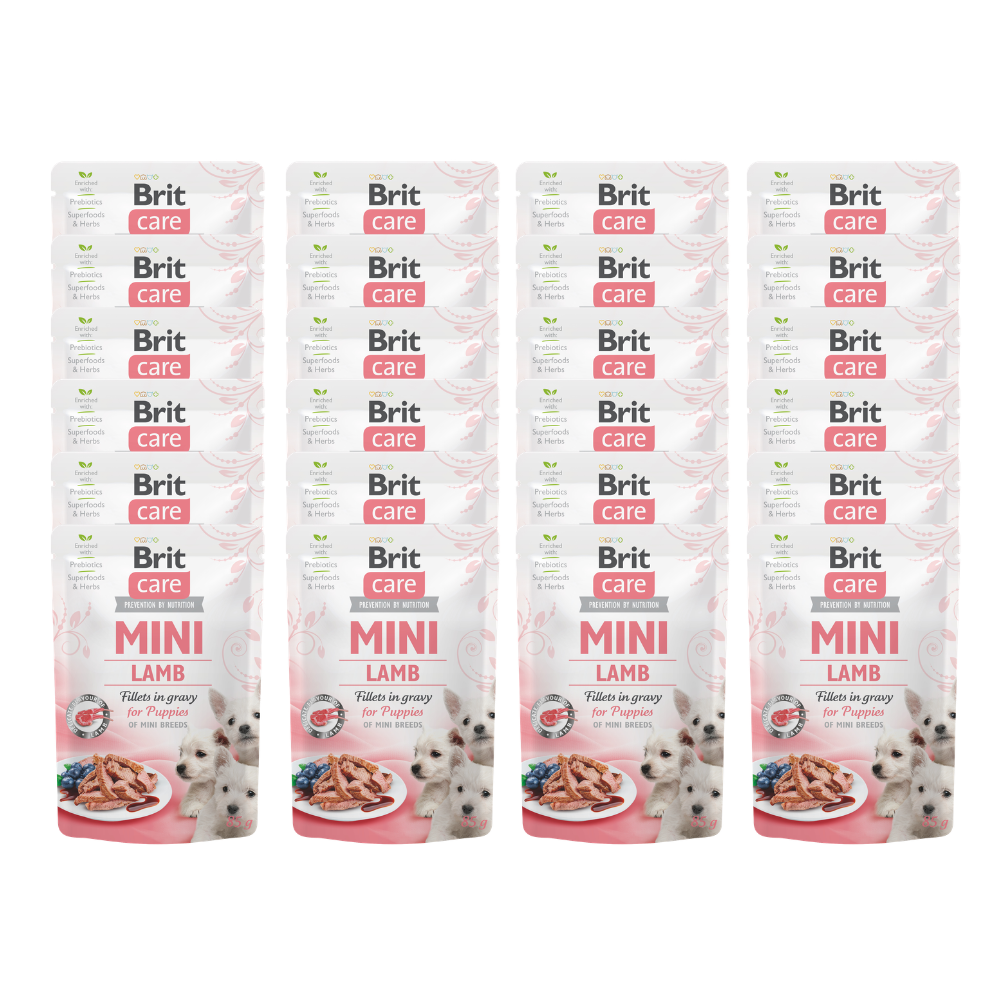 Promocja 20 szt + 4 szt Brit Care Mini Pouch Dog Puppy Lamb 85g