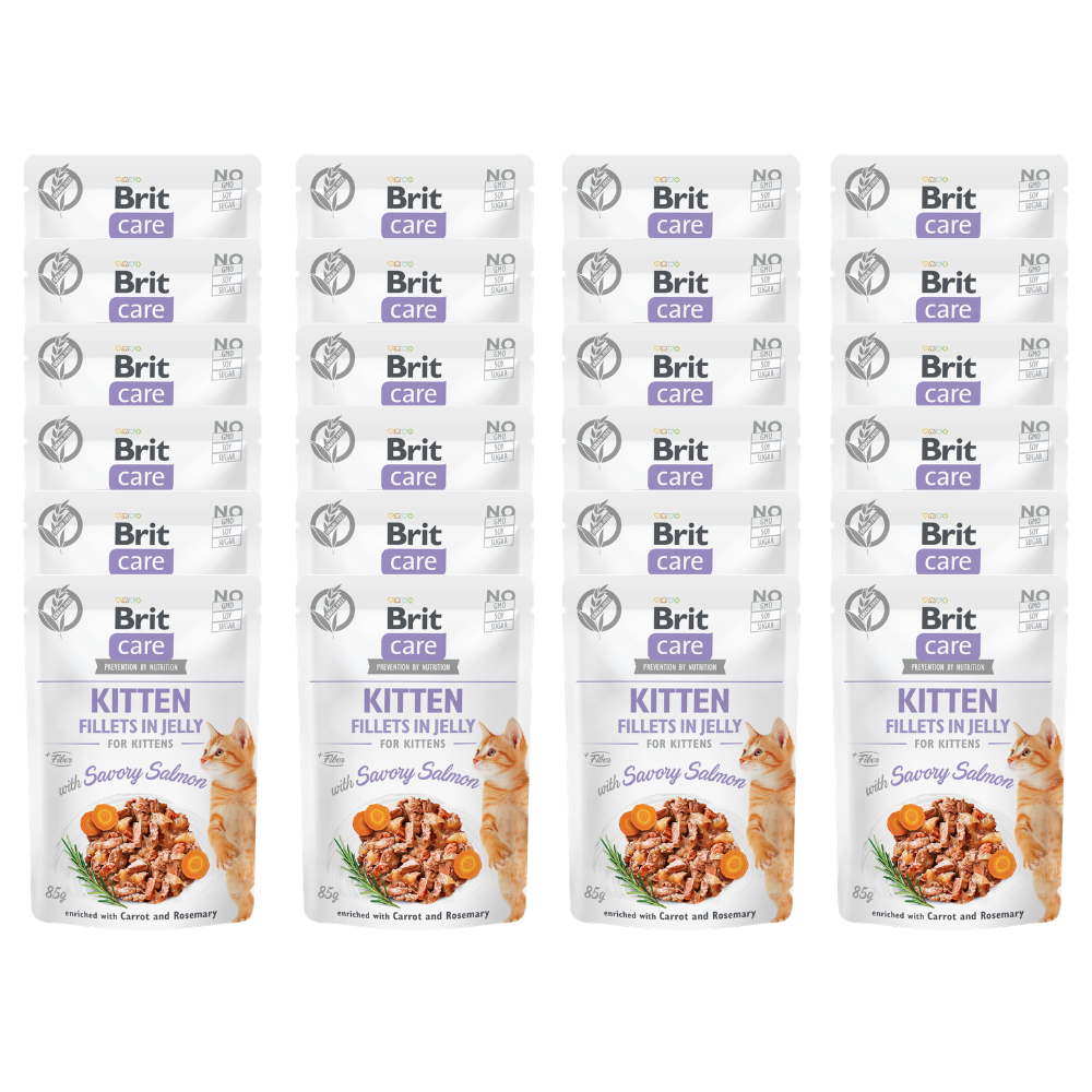 Promocja 20 szt + 4 szt Brit Care Cat Kitten Fillets in Jelly with Savory Salmon enriched with Carrot & Rosemary 85g