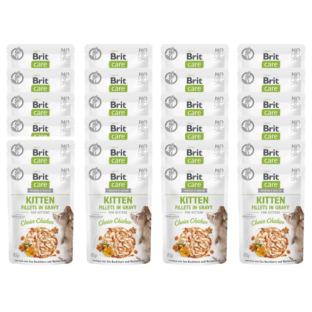 Promocja 20 szt + 4 szt Brit Care Cat Kitten Fillets in Gravy with Choice Chicken enriched with Sea Buckthorn & Nasturtium 85g