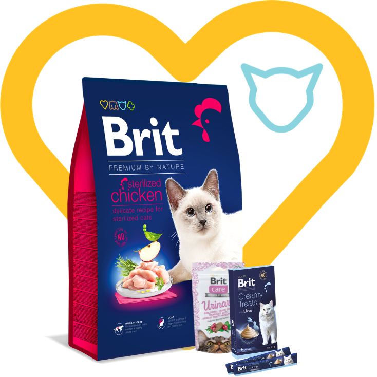 Pakiet dla Kotów Sterylizowanych: Brit Premium Cat Adult Sterilized Chicken 8kg + 2 przysmaki w cenie Zestaw z Okazji Dnia Kociecka