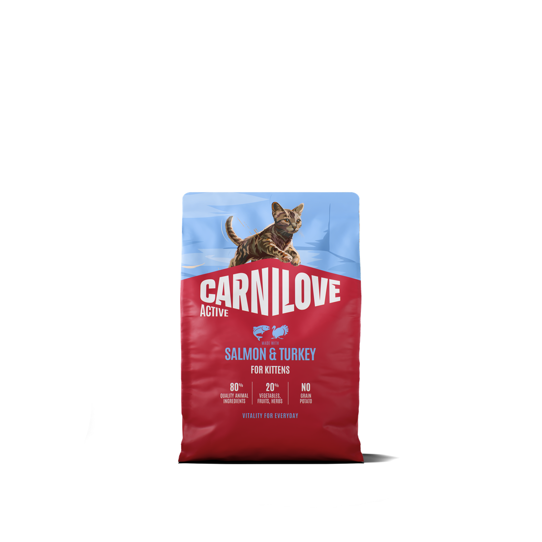 CARNILOVE ACTIVE Cat Dry Made with Salmon & Turkey for Kittens 2kg