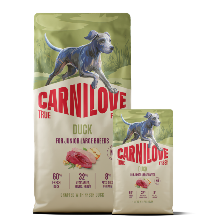 Promocja: 12kg + 4kg CARNILOVE TRUE FRESH Dog Dry Duck for Junior Large breeds w atrakcyjnej cenie