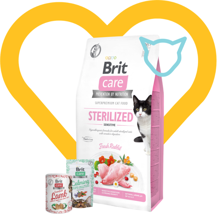 Pakiet Zabawa i Nagrody: Brit Care Cat Grain-Free Sterilized Sensitive Fresh Rabbit 7kg + 2 przysmaki w cenie Zestaw z Okazji Dnia Kociecka
