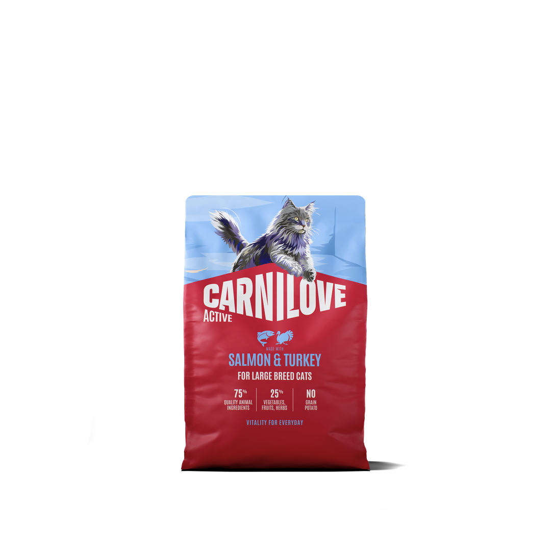 CARNILOVE ACTIVE Cat Dry Made with Salmon & Turkey for Adult Large Breeds 2kg