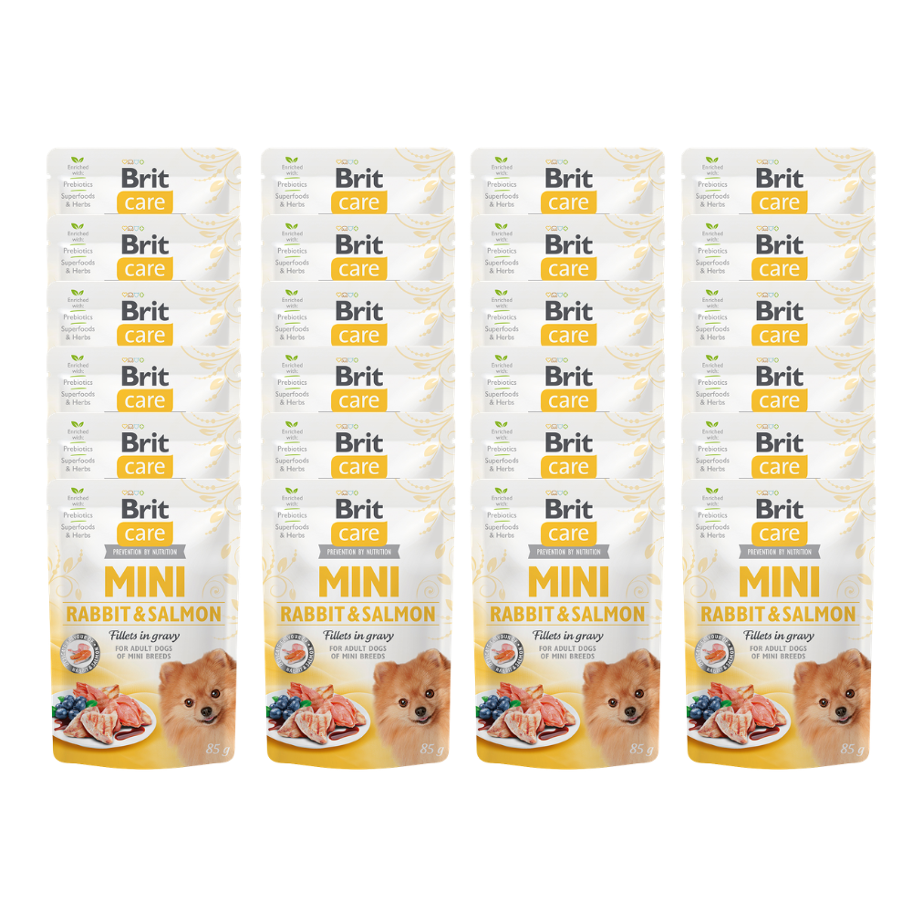 Promocja 20 szt + 4 szt Brit Care Mini Pouch Dog Adult Rabbit & Salmon 85g