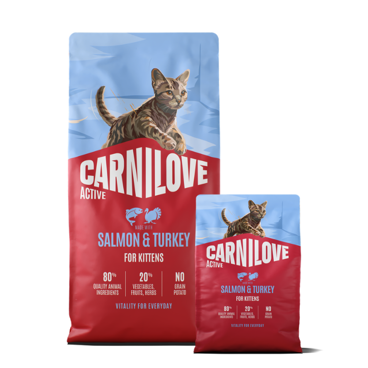 Promocja: 6kg + 2kg CARNILOVE ACTIVE Cat Salmon & Turkey Kittens w atrakcyjnej cenie